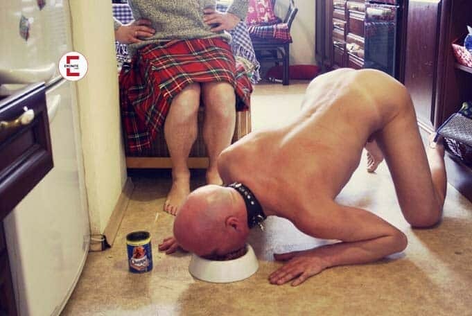 Petplay