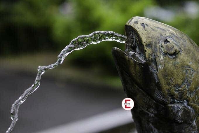 Spitting
