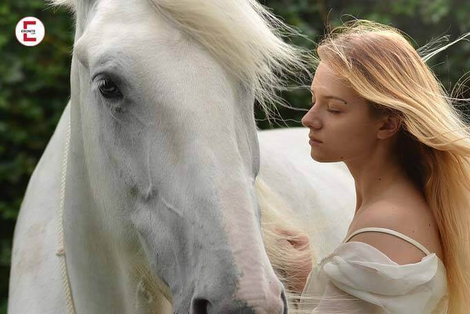 Krasse Tiersex Geschichte Kein alltäglicher Tierarztbesuch